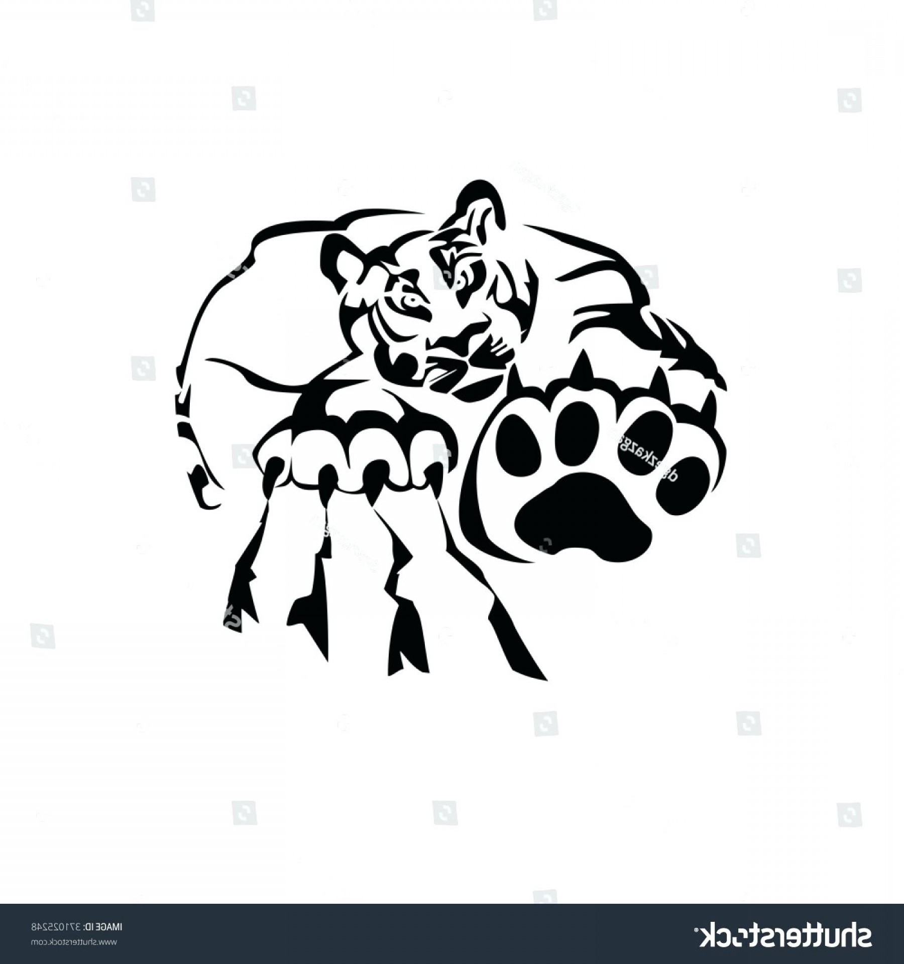 1800x1920 Lsu Tiger Head Vector Hoodamath - Lsu Tiger Drawing