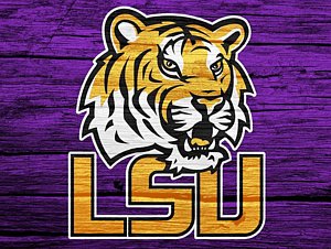 Lsu Tiger Drawing at PaintingValley.com | Explore collection of Lsu ...