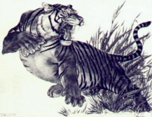 300x232 Yessy Gt Silver River Art Gallery Gt Tiger Spirit Of Lsu - Lsu Tiger Drawing