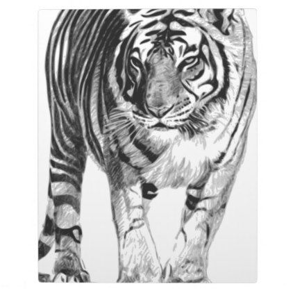 422x422 christmas bengal tiger plaque in stripes tiger sketch - Lsu Tiger Drawing