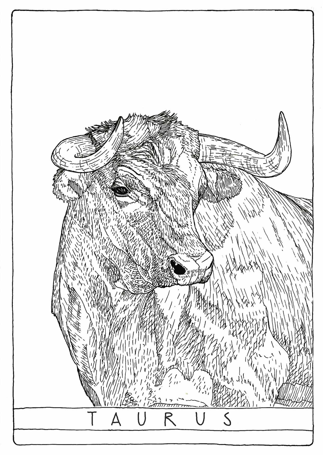 1240x1748 Drawing A Lucid Owl - Lucid Drawing