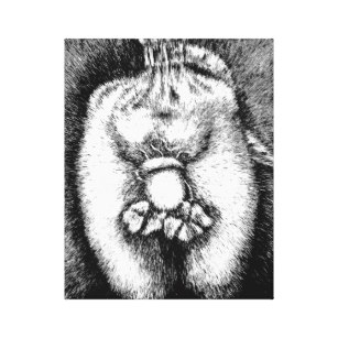 307x307 lucky draw art wall zazzle - Lucky Drawing