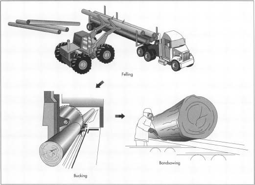 521x378 how lumber is made - Lumber Drawing
