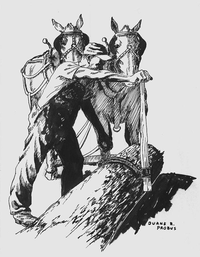 703x900 the lumberjack drawing - Lumberjack Drawing