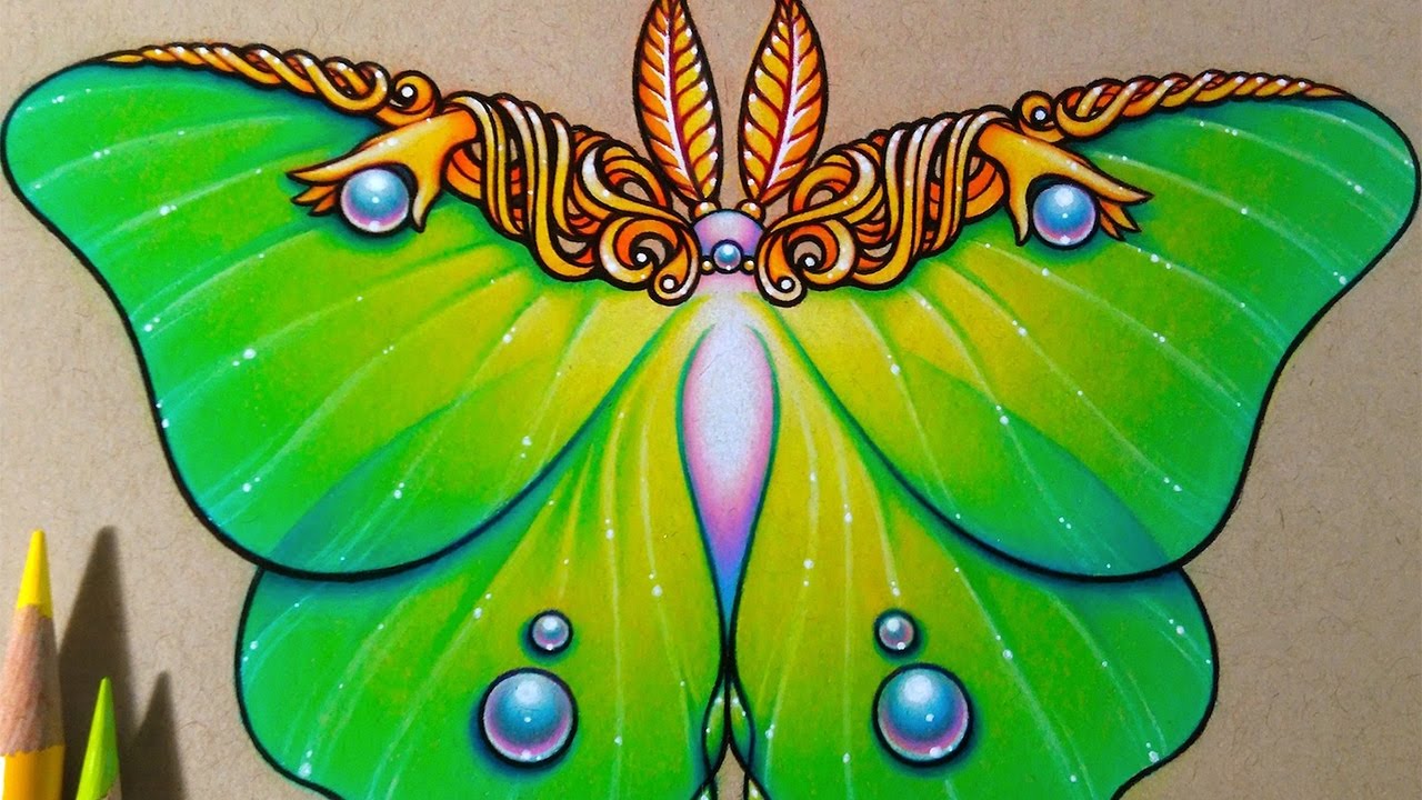 1280x720 luna moth prismacolor speed drawing - Luna Moth Drawing