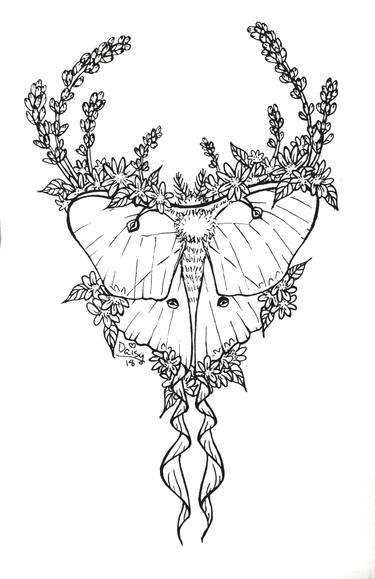 375x579 luna moth tattoo drawing - Luna Moth Drawing