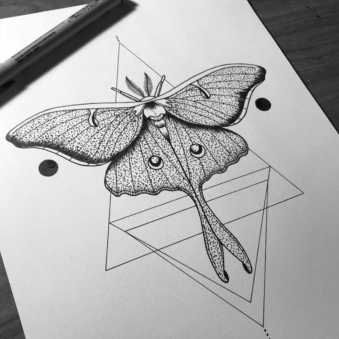 1080x1080 luna moth pen drawing - Luna Moth Drawing