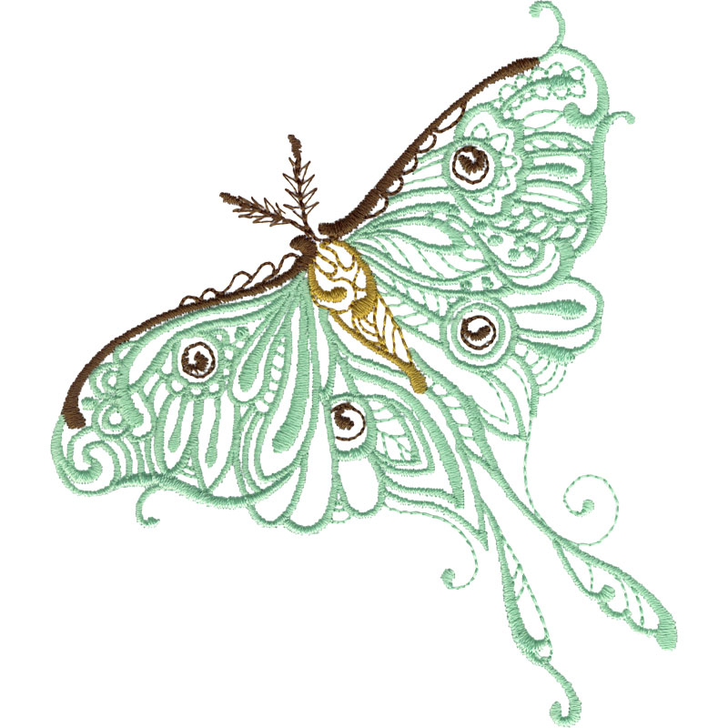 800x800 luna moth - Luna Moth Drawing