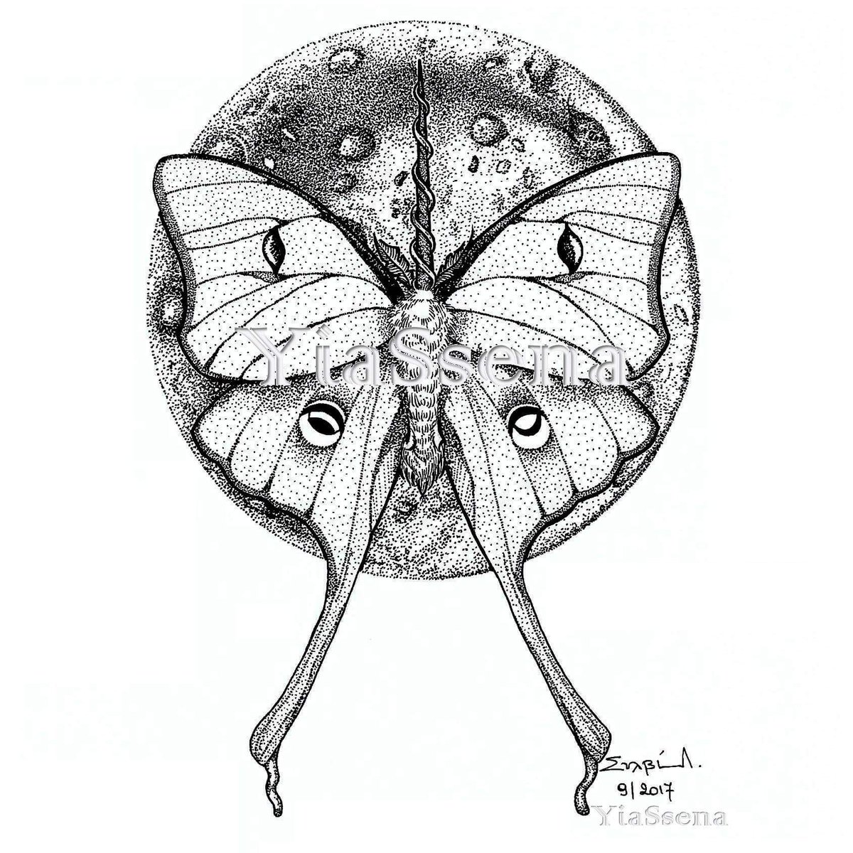 1200x1200 Yiassena Art On Twitter - Luna Moth Drawing