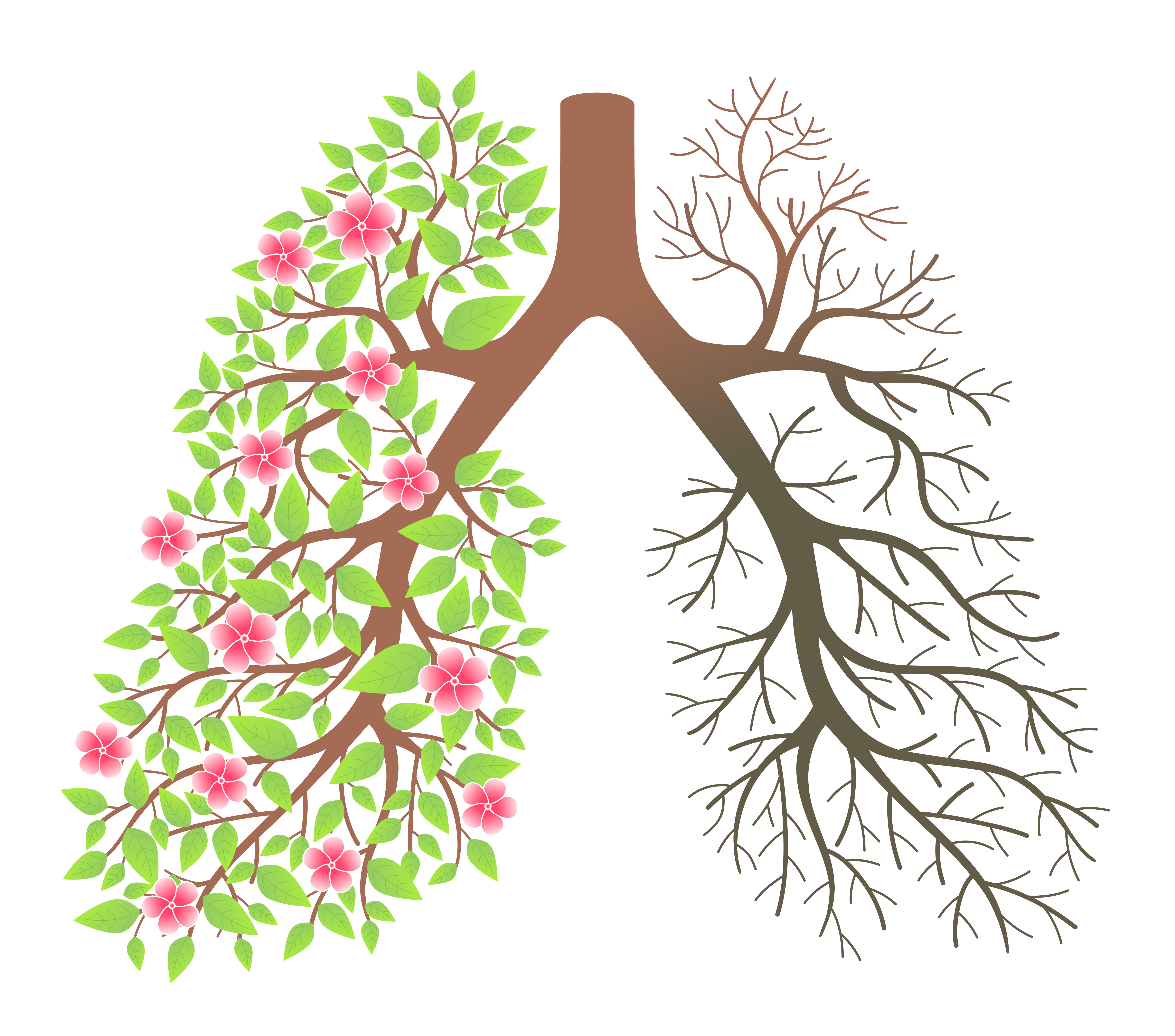 6000x5290 lung disease in smokers who don't have copd - Lung Cancer Drawing