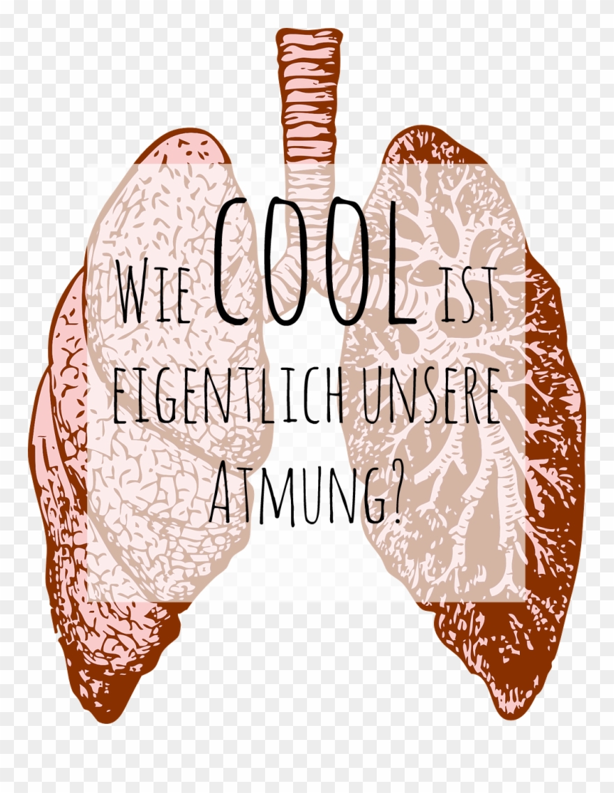 880x1136 datei - Lung Cancer Drawing