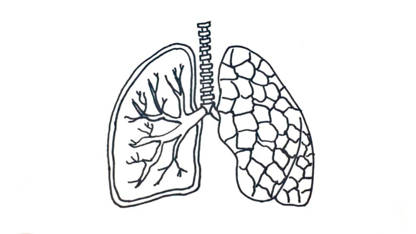 854x480 how to draw lungs - Lungs Drawing