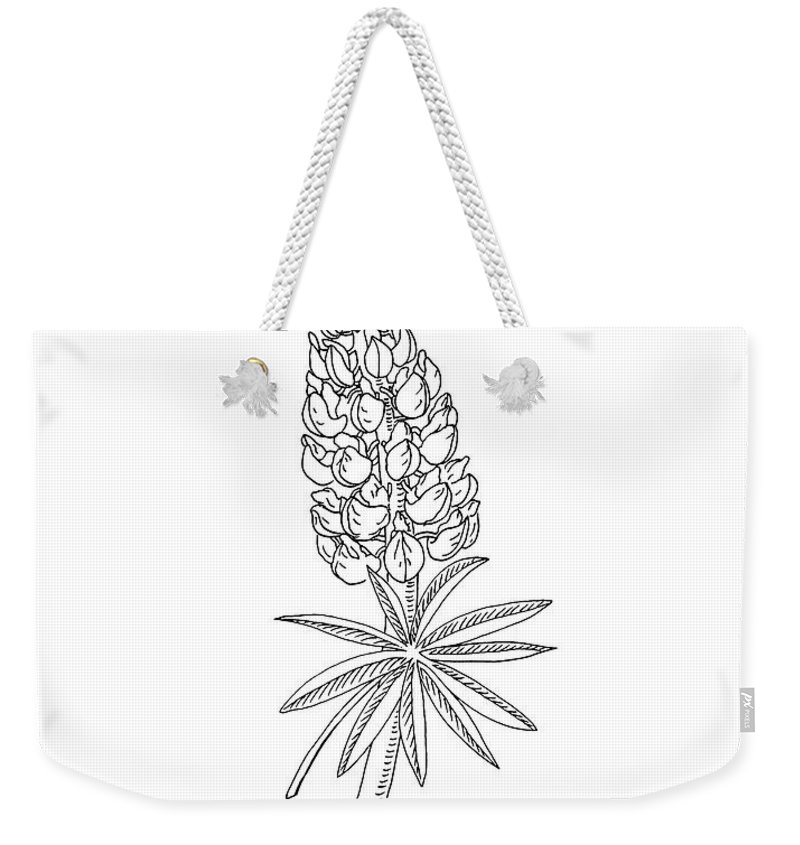 800x845 Lupine Flower Botanical Drawing Weekender Tote Bag For Sale - Lupine Drawing