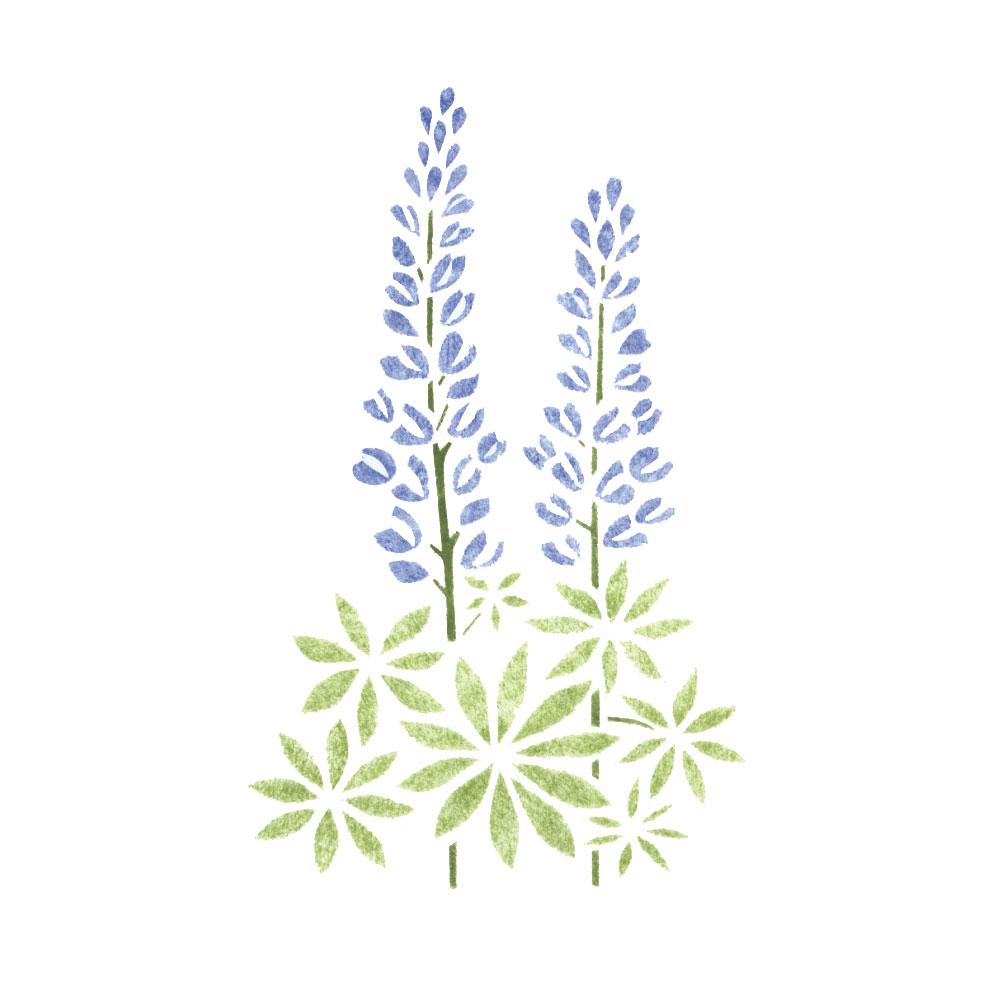 1000x1000 Designer Stencils Lupine Flower Wall Stencil - Lupine Drawing