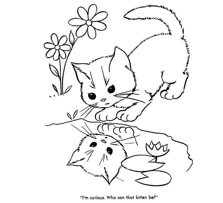 736x672 How To Draw Coloring Pages Draw Coloring Pages Kids Coloring Pages - Luxury Drawing