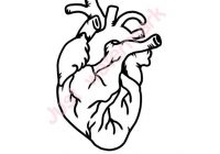 200x140 Real Heart Drawing Drawings Drawing Ideas Real Heart Drawing - Luxury Drawing