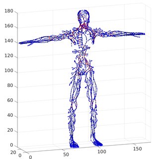 320x320 The Skeleton Graph Of The Lymphatic System Network Red Color - Lymphatic System Drawing