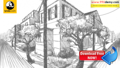 390x220 drawing archives - Lynda Drawing