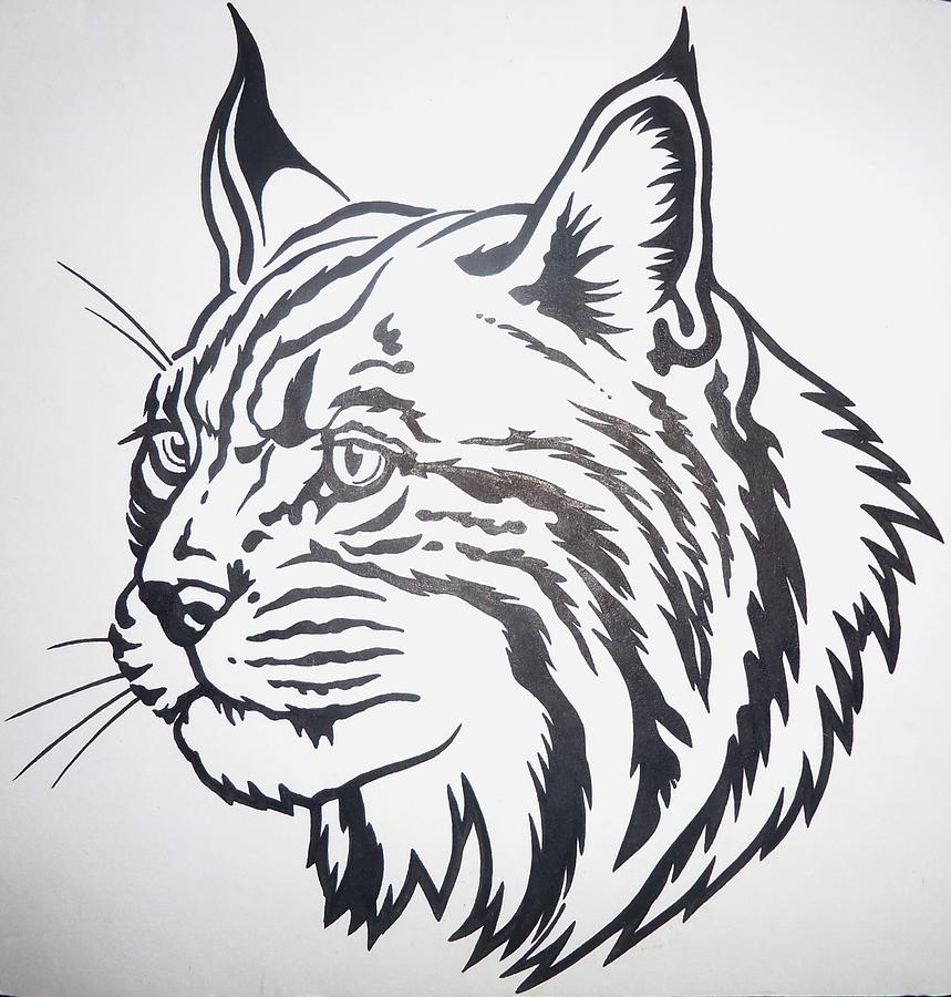 859x900 lynx drawing - Lynx Drawing