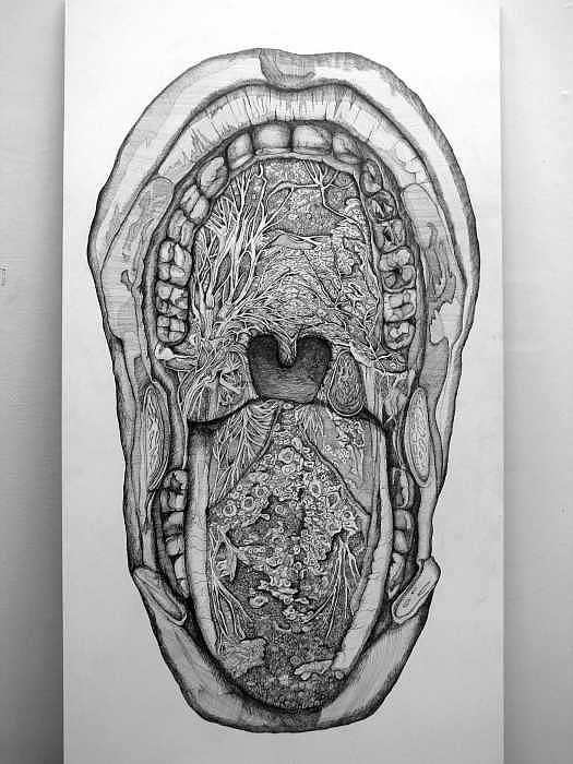 525x700 Mac And Cheese Drawing - Mac And Cheese Drawing