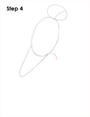 386x500 how to draw a scarlet macaw - Macaw Drawing