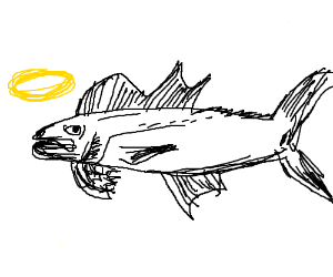 300x250 Holy Mackerel Drawing - Mackerel Drawing