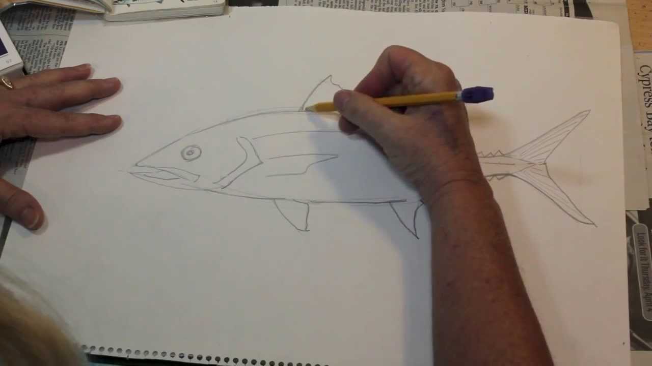 1280x720 How To Draw A Fish The Easy Way - Mackerel Drawing