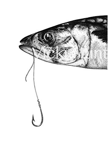 354x500 Mackerel - Mackerel Drawing