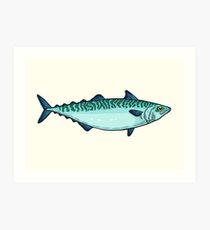 210x230 Mackerel Drawing Art Prints Redbubble - Mackerel Drawing
