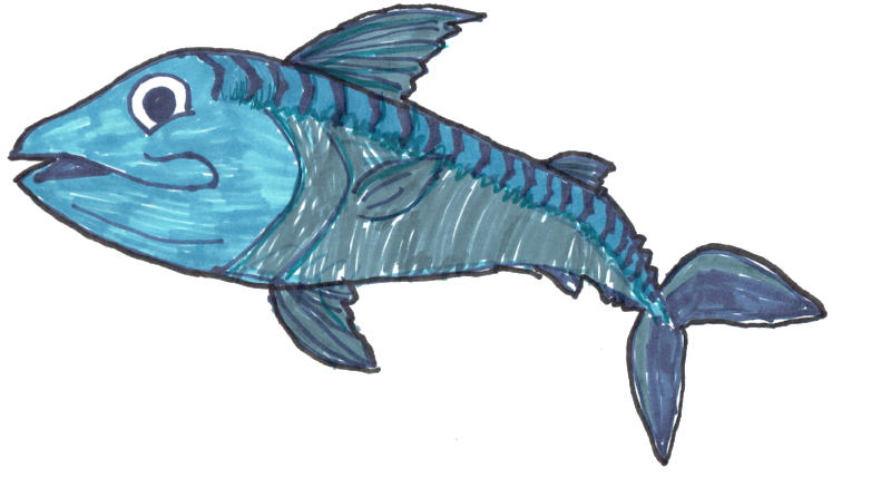 800x429 Colouring Competition Krispies - Mackerel Drawing