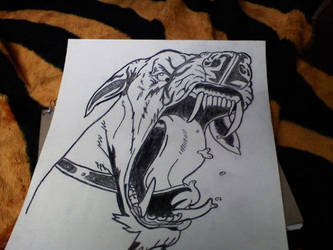 333x250 Mad Dog Drawing - Mad Dog Drawing