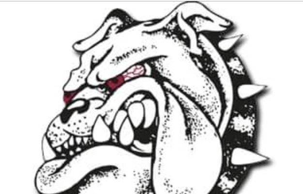 626x400 Ace Maddog - Mad Dog Drawing