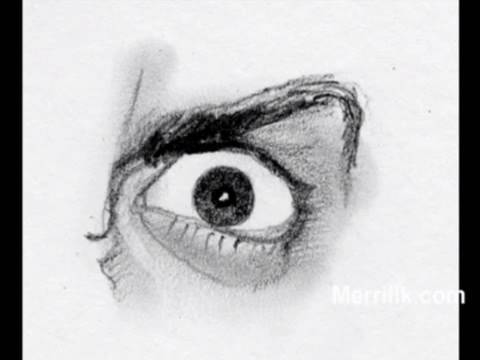 480x360 Draw The Eye - Mad Eyebrows Drawing