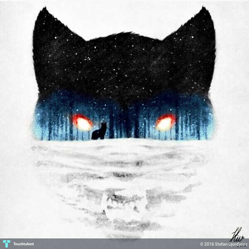 825x824 Mad Wolf Colored Pencil Drawing - Mad Wolf Drawing