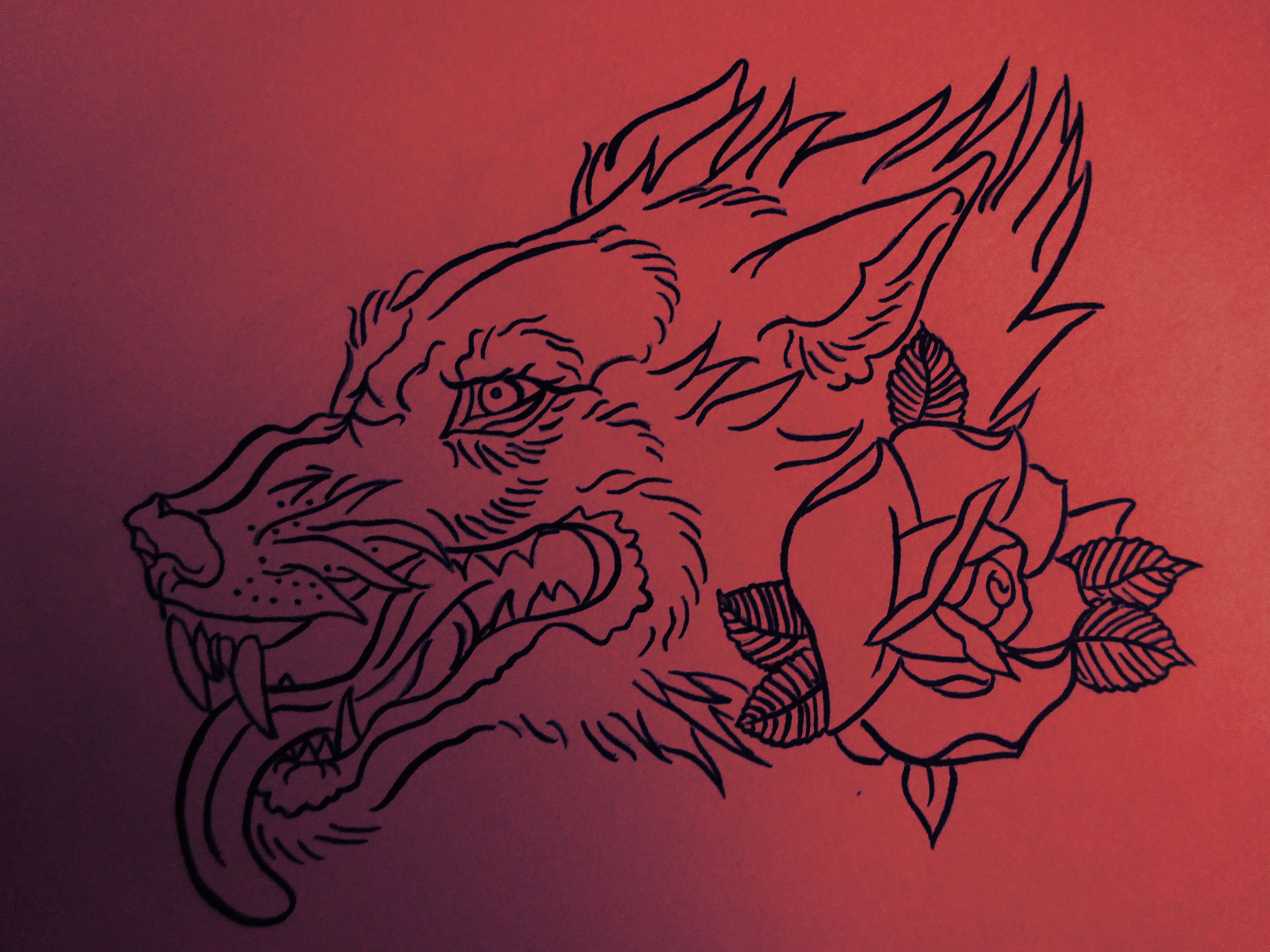 4000x3000 Mad Wolf And Small Rose - Mad Wolf Drawing