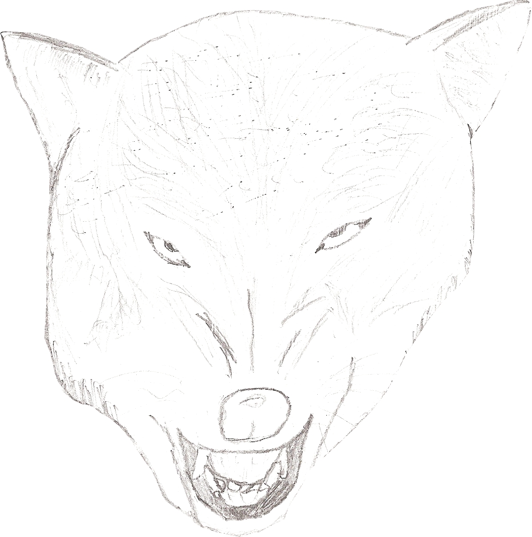 1058x1068 Mad Wolf - Mad Wolf Drawing