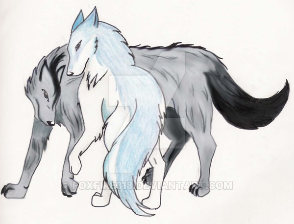 600x458 Mad Wolf - Mad Wolf Drawing