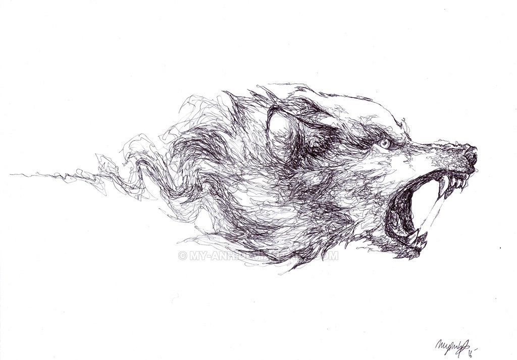 1024x714 Mad Wolf - Mad Wolf Drawing