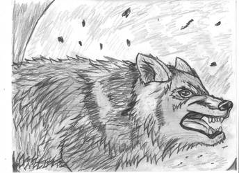 344x250 Quick Mad Wolf Drawing - Mad Wolf Drawing