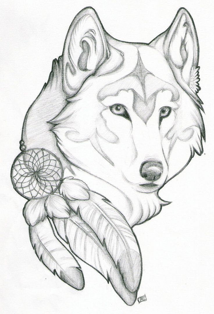 736x1081 White Wolf Clipart Mad Wolf - Mad Wolf Drawing