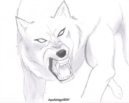 438x350 Mad Wolf - Mad Wolf Drawing