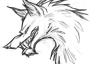 300x210 Angry Wolf Face Drawing Wolf Drawing Face At Getdrawings Free - Mad Wolf Drawing