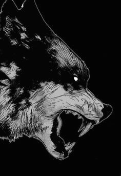 Mad Wolf Drawing at PaintingValley.com | Explore collection of Mad Wolf ...