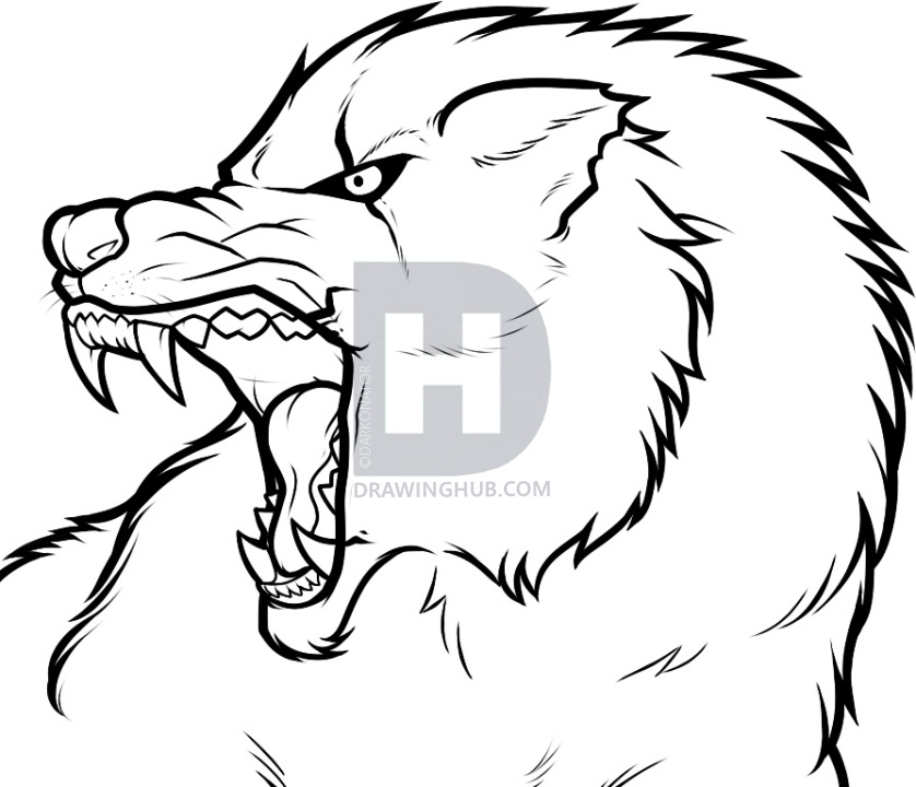 838x720 How To Draw An Angry Wolf, Angry Wolf, Step - Mad Wolf Drawing