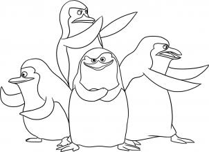 302x220 How To Draw How To Draw Madagascar Penguins - Madagascar Drawing