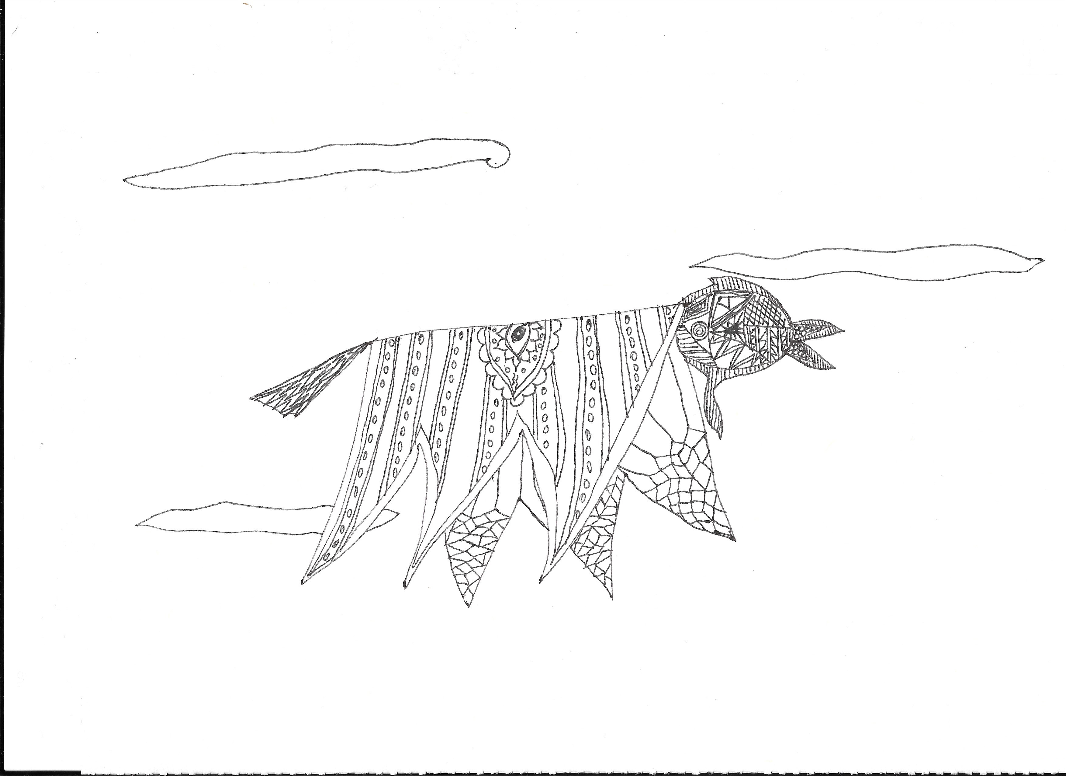 Magic Carpet Drawing at Explore collection of