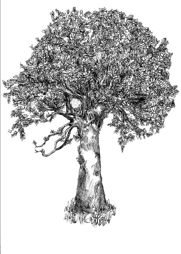 754x1059 rowan tree tattoo ideas rowan, magical tree, tree art - Magical Tree Drawing