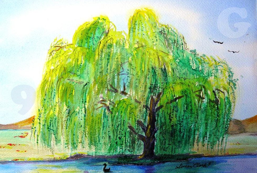 979x659 Weeping Willow Tree Drawing Art Drawing Skill - Magical Tree Drawing