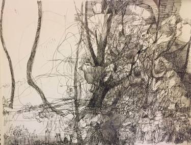 375x284 Magical Tree Drawing - Magical Tree Drawing