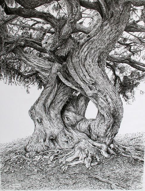 Magical Tree Drawing at PaintingValley.com | Explore collection of ...